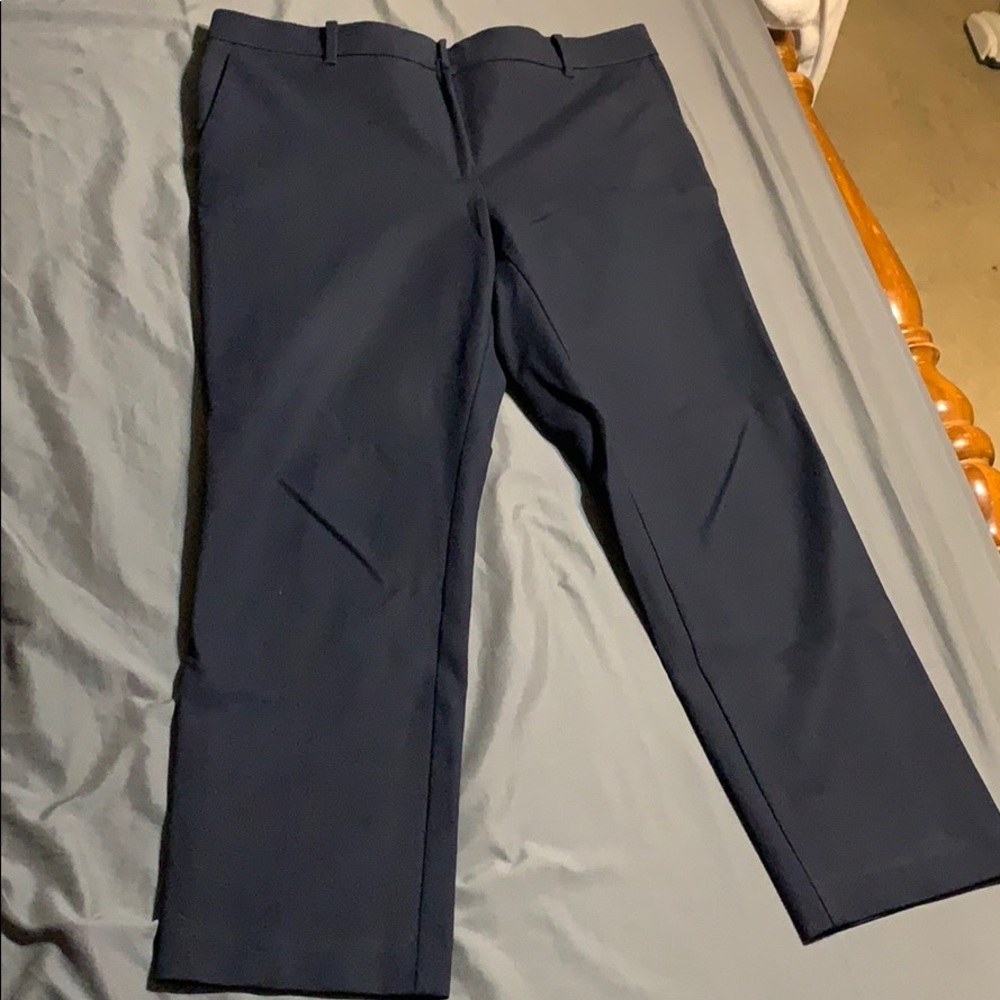 Navy blue ankle cut Ann Taylor pants